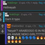 AnimeArabNekogirl meme