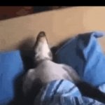 Every single time | Autocorrect when you actually need help spelling a word: | image tagged in gifs,funny,meme,memes,funny memes,relatable | made w/ Imgflip video-to-gif maker