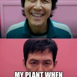 Watering a plant be like: | MY PLANT WHEN I FINALLY REMEMBER TO WATER IT; MY PLANT WHEN I FORGET FOR THE 3RD TIME IN A ROW | image tagged in squid game,fun,memes,lol | made w/ Imgflip meme maker