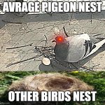 Average pigeon nest | AVRAGE PIGEON NEST; OTHER BIRDS NEST | image tagged in pigeon nest | made w/ Imgflip meme maker