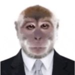 Monkey in suit