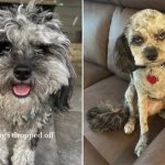 Haircut - a little off the top