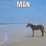 horse man beach