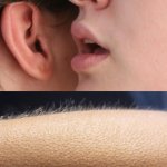 Whispering Equities
