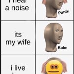 scary | I hear a noise; its my wife; i live alone | image tagged in memes,panik kalm panik | made w/ Imgflip meme maker