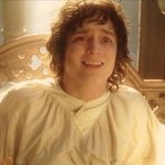 Frodo wake up