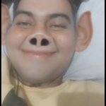 pigasur