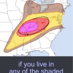 msmg forecast meme