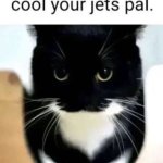 Cool your jets pal meme