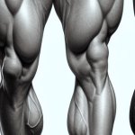 mens thighs