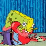 Zesty Sponge