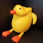 Sitting Duck