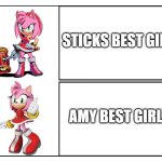 Amy best girl fr | STICKS BEST GIRL; AMY BEST GIRL | image tagged in amy rose hotline,drake hotline bling,sonic the hedgehog,amy rose,female,girl | made w/ Imgflip meme maker