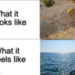 What it looks like, What it feels like. | image tagged in what it looks like what it feels like,water,relatable | made w/ Imgflip meme maker