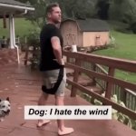 Dogs Versus The Wind Compilation | image tagged in gifs,dogs versus the wind | made w/ Imgflip video-to-gif maker
