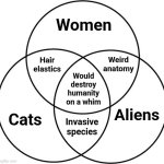 Let's not make ANY OF THEM mad at us | Women; Weird
anatomy; Hair
elastics; Would
destroy
humanity
on a whim; Cats; Aliens; Invasive
species | image tagged in venn diagram,women,cats,aliens,memes,danger | made w/ Imgflip meme maker