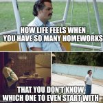 Sad Pablo Escobar | HOW LIFE FEELS WHEN YOU HAVE SO MANY HOMEWORKS; THAT YOU DON'T KNOW WHICH ONE TO EVEN START WITH | image tagged in memes,sad pablo escobar | made w/ Imgflip meme maker