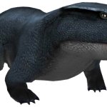 Sclerocephalus (JWTG Design)