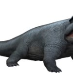 Sclerocephalus 2 (JWTG Design)
