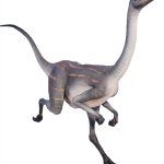 Struthiomimus (JWE Design)