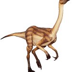 Struthiomimus 2 (JWE Design)