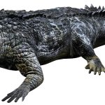 Gryposuchus (JWA Design)
