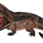 Koolasaurus