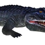 Metriorhynchus (JWTG Design)