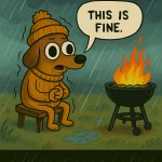 Rainy dog