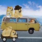 doge road trip GIF Template