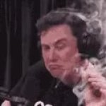 elon musk smoke GIF Template