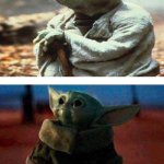 Yoda Old Baby