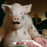 Pig Eats Ham meme