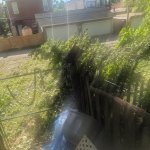 Live powerlines