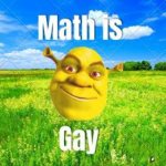 shrek shitpost 5 meme