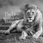 The Lion ignores the blatantly obvious ragebait.