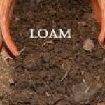 LOAM meme