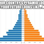 AP human geo meme | "WHEN YOUR COUNTRY'S PYRAMID LOOKS LIKE A TRIANGLE AND YOUR FUTURE LOOKS LIKE... MORE BABIES!" | image tagged in ap human geo meme | made w/ Imgflip meme maker