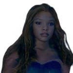halle turd