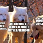 2 serious and 1 laughing wolves | ME LOOKING AT MEMES WHEN I SHOULD BE IN BED; ME LOOKING AT MEMES AT MEMES IN THE AFTERNOON; ME LOOKING AT MEMES IN THE MORNING | image tagged in 2 serious and 1 laughing wolves | made w/ Imgflip meme maker