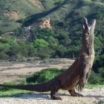 Godzilla’s lil cousin