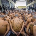 Nuestros amigos saqueadores cobrizos pandilleros y sus ghettos