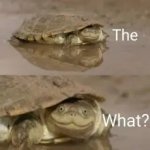 Turtle The What