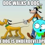 No logic! | DOG WALKS A DOG... ONE DOG IS UNDERDEVELOPED... | image tagged in goofy and pluto | made w/ Imgflip meme maker