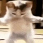Dancing cat 2 GIF Template
