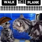 cat yelling to a kitten pirate edition