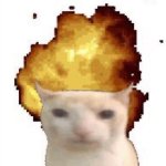 cat-go-boom