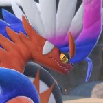 koraidon