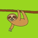 fried sloth