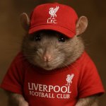 Liverpool Rat